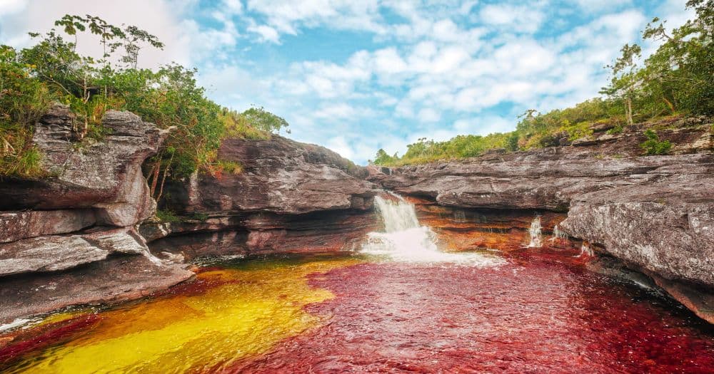 Caño Cristales sollte man am Besten zwischen Juni und Dezember besuchen.
