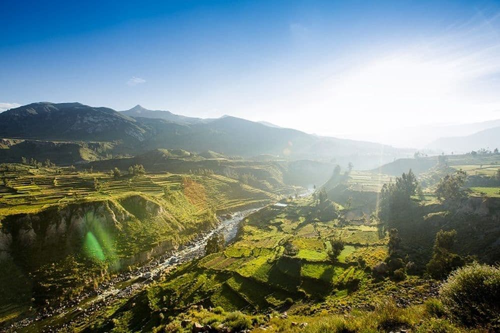 Colca-Canyon-1