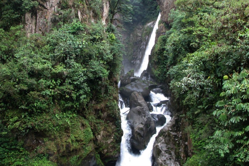 Pailon