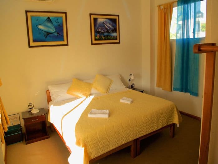 Viventura