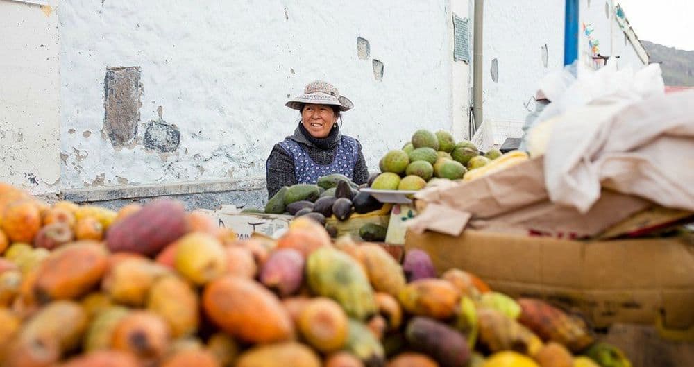 Eine Chilenin sitzt an ihrem Gemüsestand und wartet auf die nächsten Käufer. Beste Gelegenheit, die frisch gelernten Vokabeln zu testen.