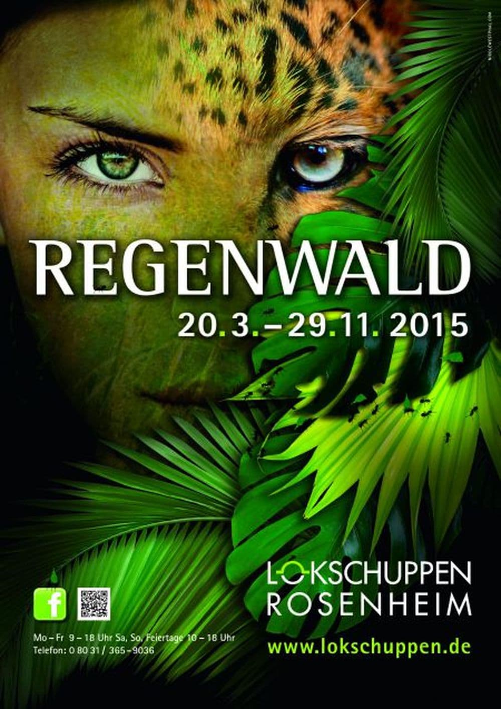 Regenwald, Pantanal und Iguazu Die Reise zur Ausstellung im Lokschuppen Rosenheim