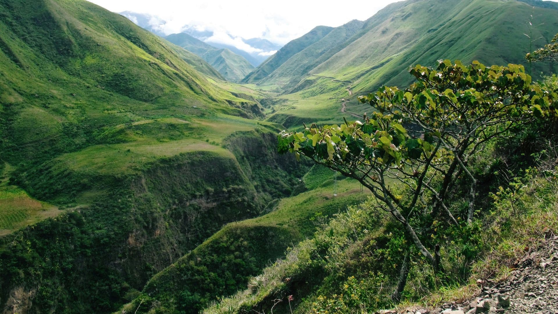 Ecuador Landscapes