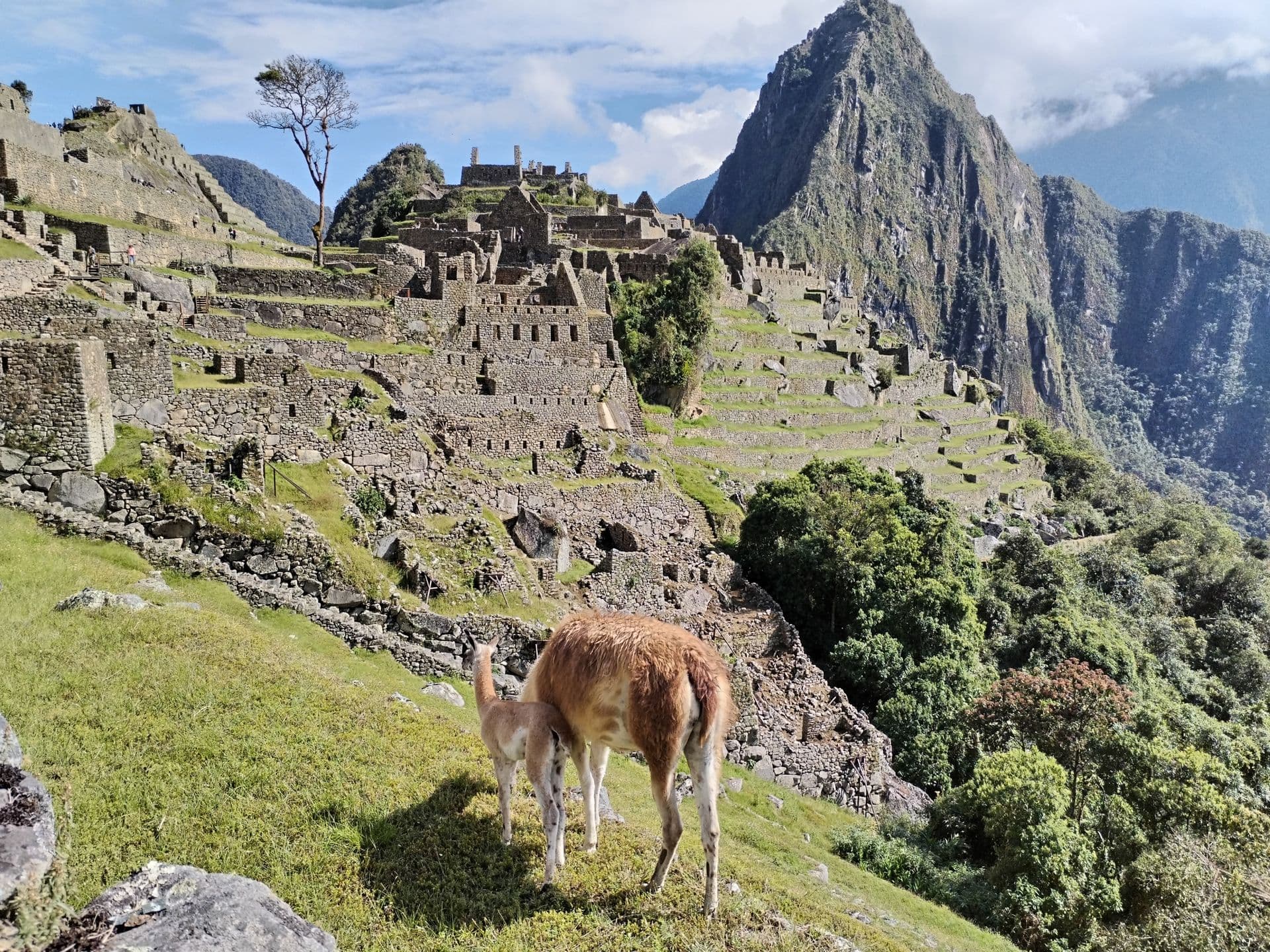 Machupicchu, voila