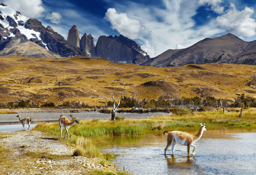 Torres del Paine