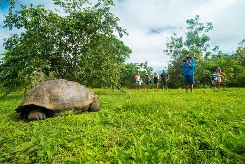 experience galapagos1