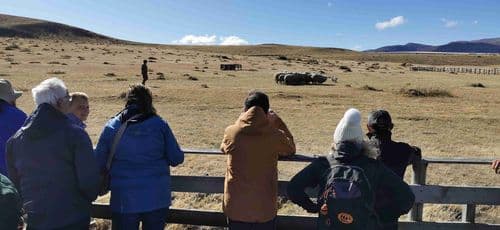 Estancia