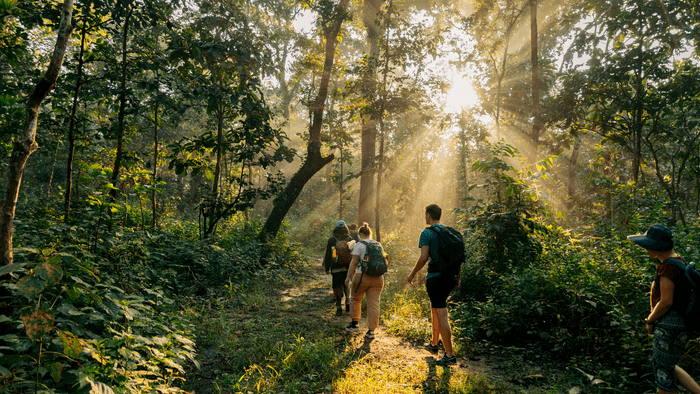 Jungle walk CHitwan