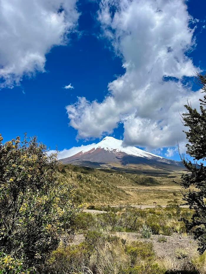 Cotopaxi