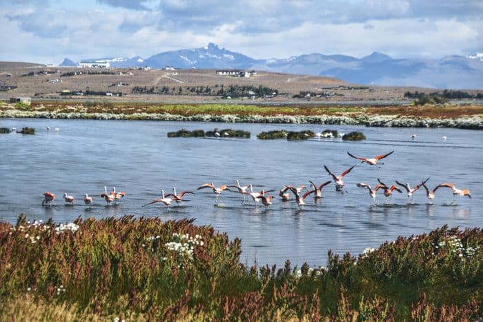 Laguna Nimez