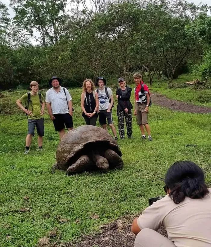 Schildkröten