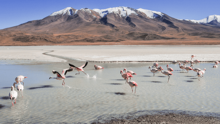 Bolivia landscape