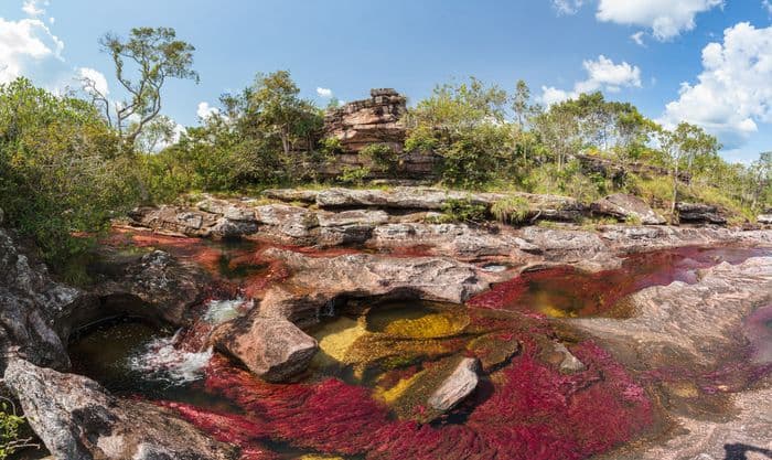 Caño Cristales
