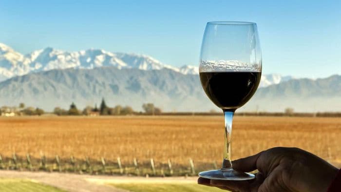 Weine aus der Neuen Welt: Das Südzipfel-Duell Chile gegen Argentinien