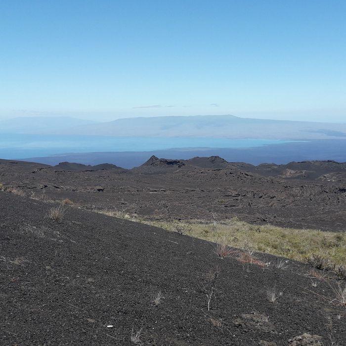 Galapagos hat Vulkan-Panorama.
