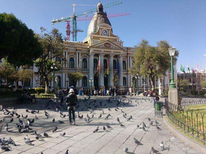 Der Hauptplatz von La Paz, Pla