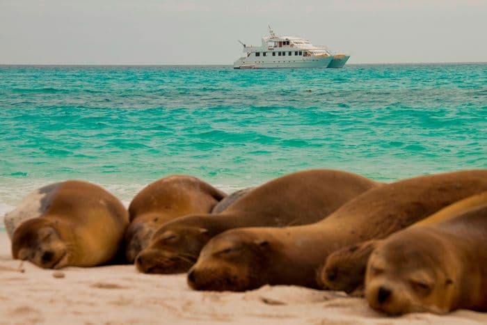 Seaman Journey, Galapagos Cruise