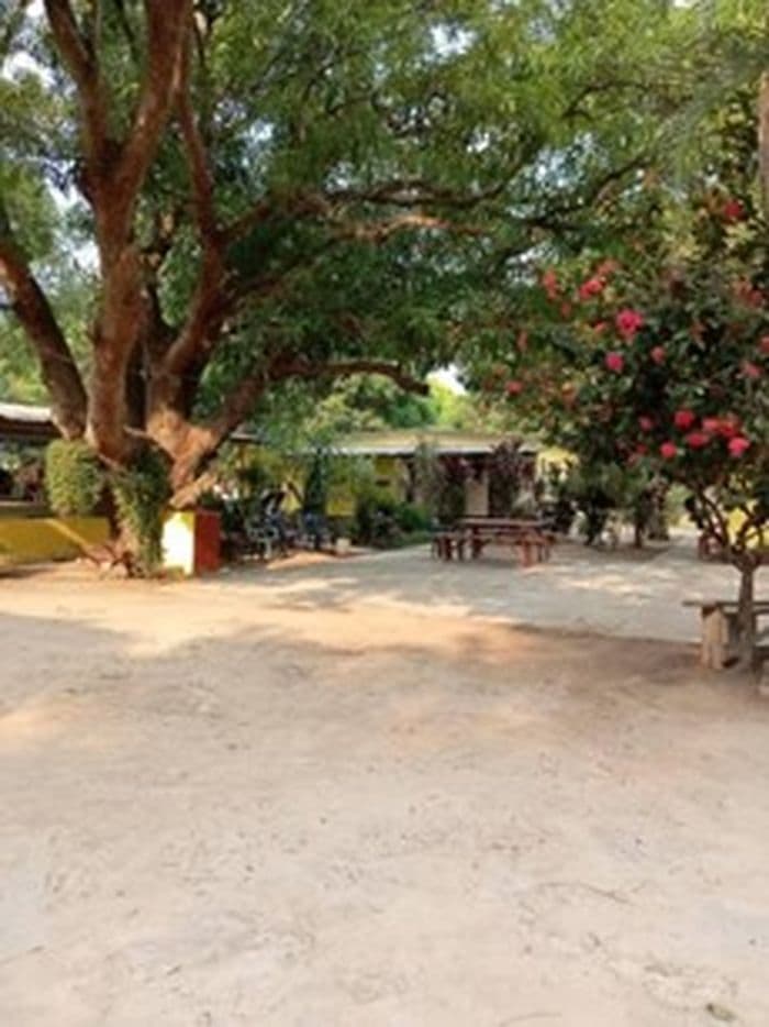 Llanos