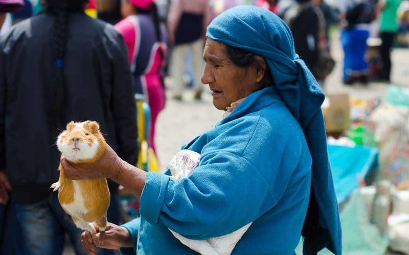 Otavalo